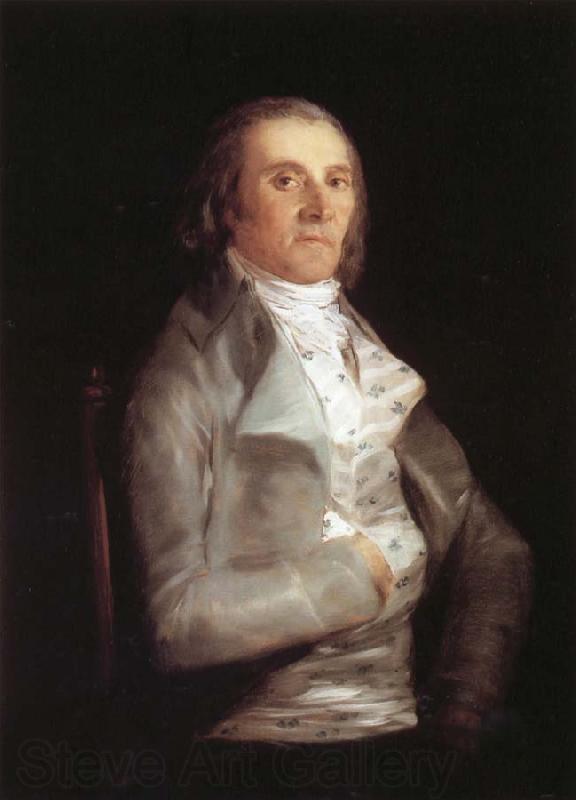 Francisco Goya Andres del Peral